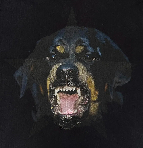 Givenchy rottweiler hoodie - givenchy,