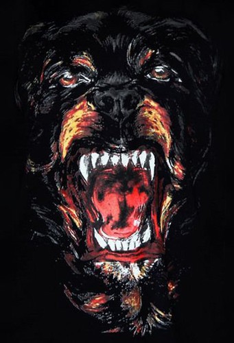 Rottweiler dog mouth teeth - mouth,